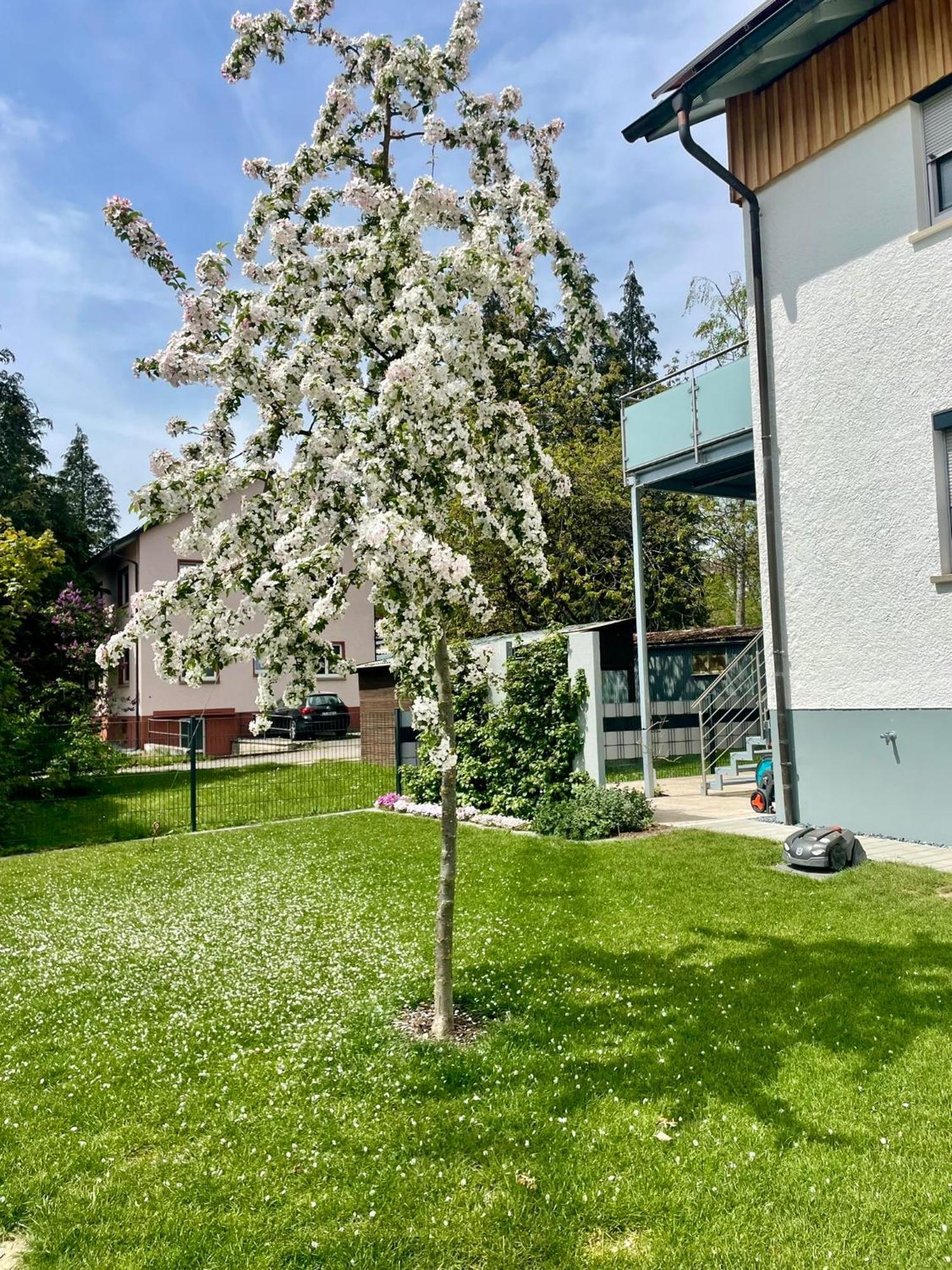 Anitas Ferienwohnung 梅斯基希 外观 照片